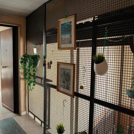 Casa Di Joe Villa Bari Kültér fotó